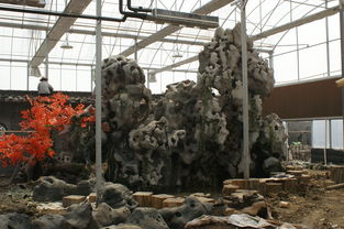 假樹工程設計,江蘇假山假樹工程哪家名聲好