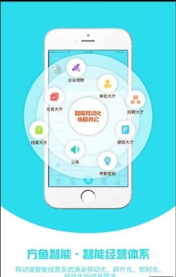 方魚智能 手機軟件的技術開發與銷售特點解析